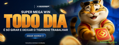 Cassino bingoaovivo app mobile